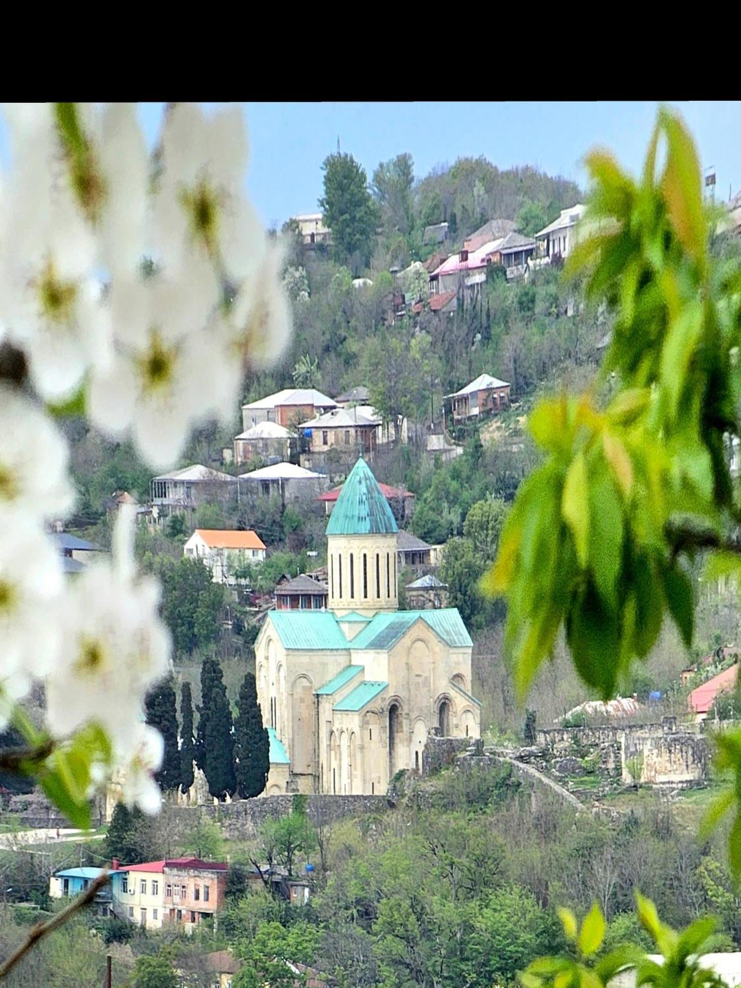 Hilltop Guest House Kutaisi Eksteriør billede