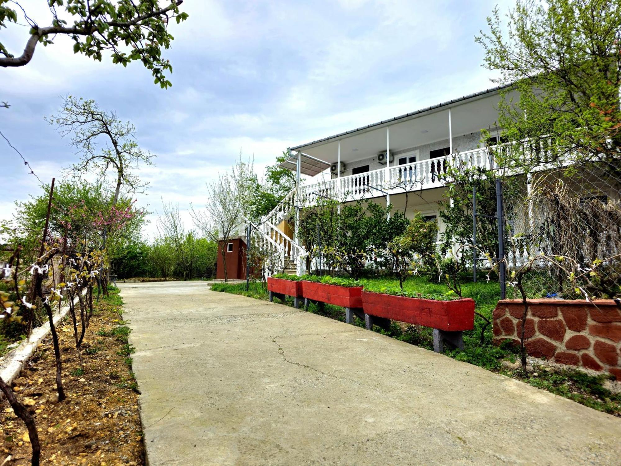 Hilltop Guest House Kutaisi Eksteriør billede